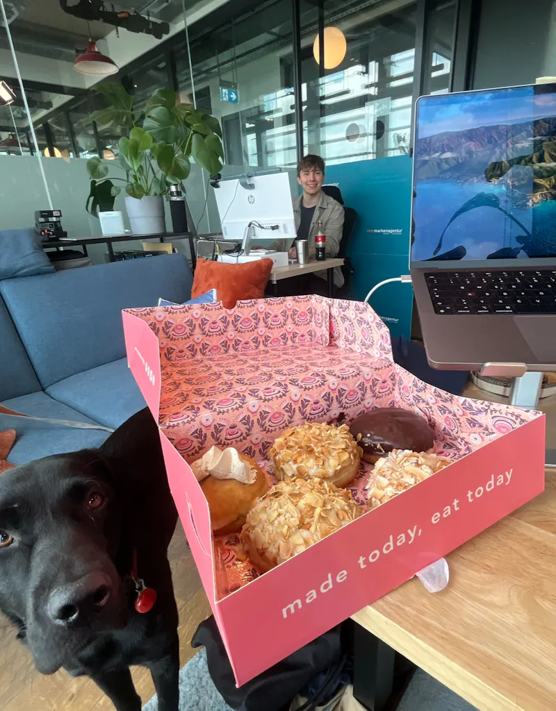 Donuts für das Team und der Bürohund im Office.