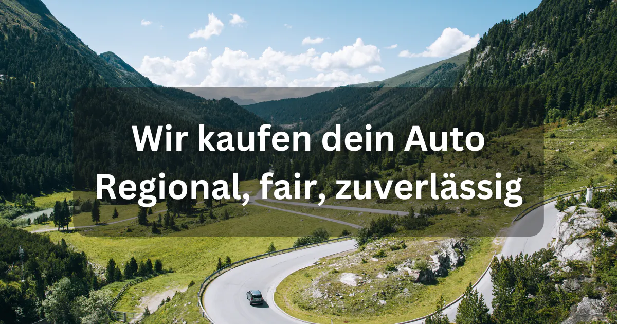 Erstaunlich Wirkaufen Dein Auto Erfahrung Bildnull