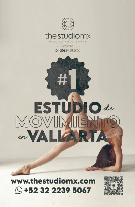 The Studio MX Special Offer