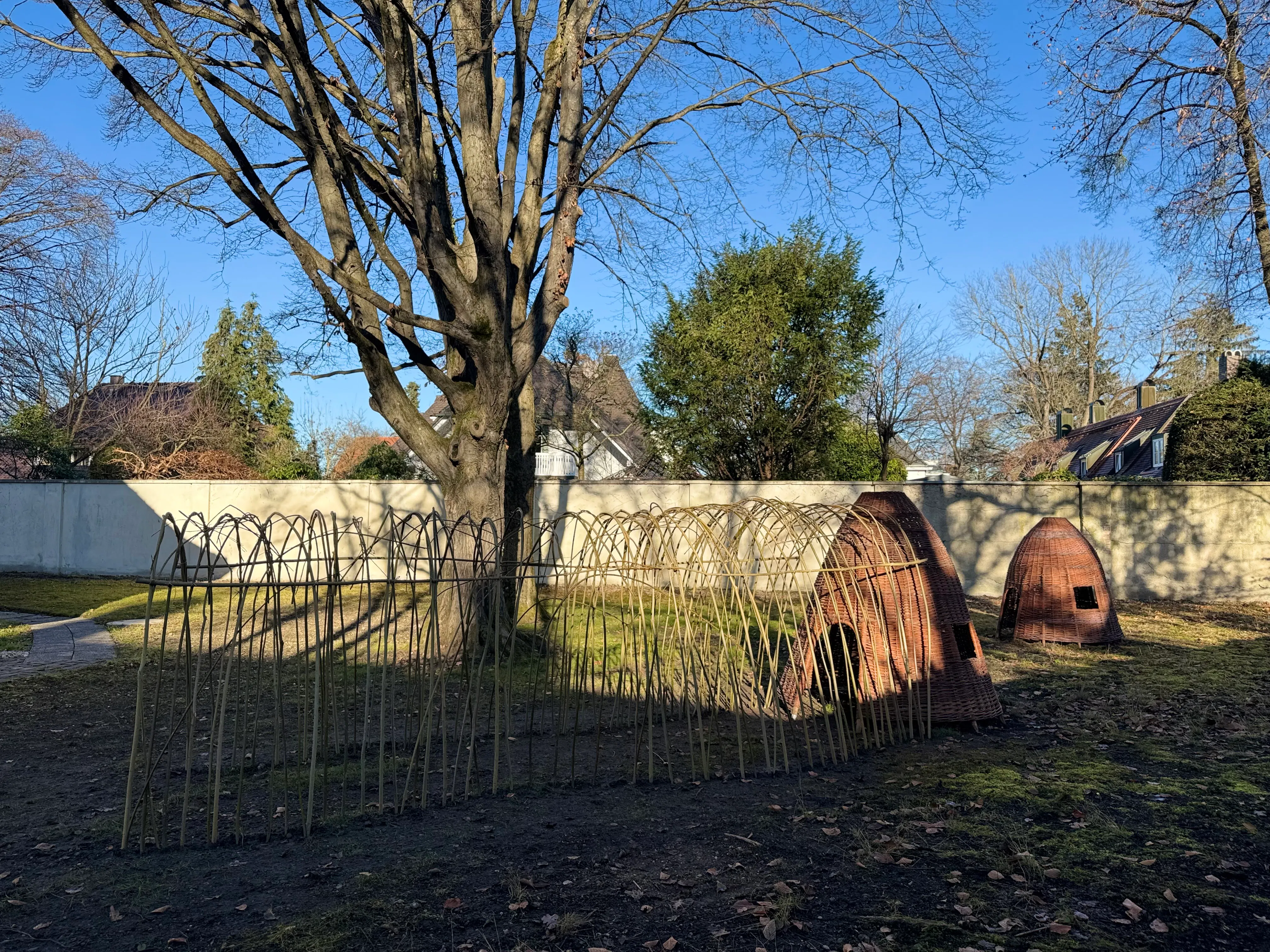 Garten mit zwei kleinen runden, korbähnlichen Hütten und einem langen, leichten Gerüst aus dünnen Stangen, großer kahler Baum und Häuser im Hintergrund bei blauem Himmel.