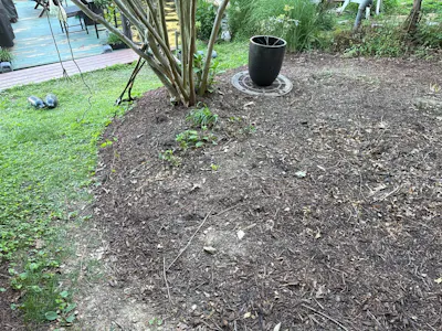 Bare mulch beds