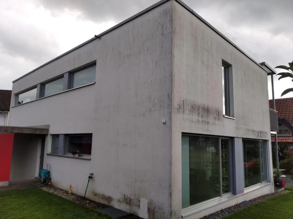 Fassade Nachher gereinigt
