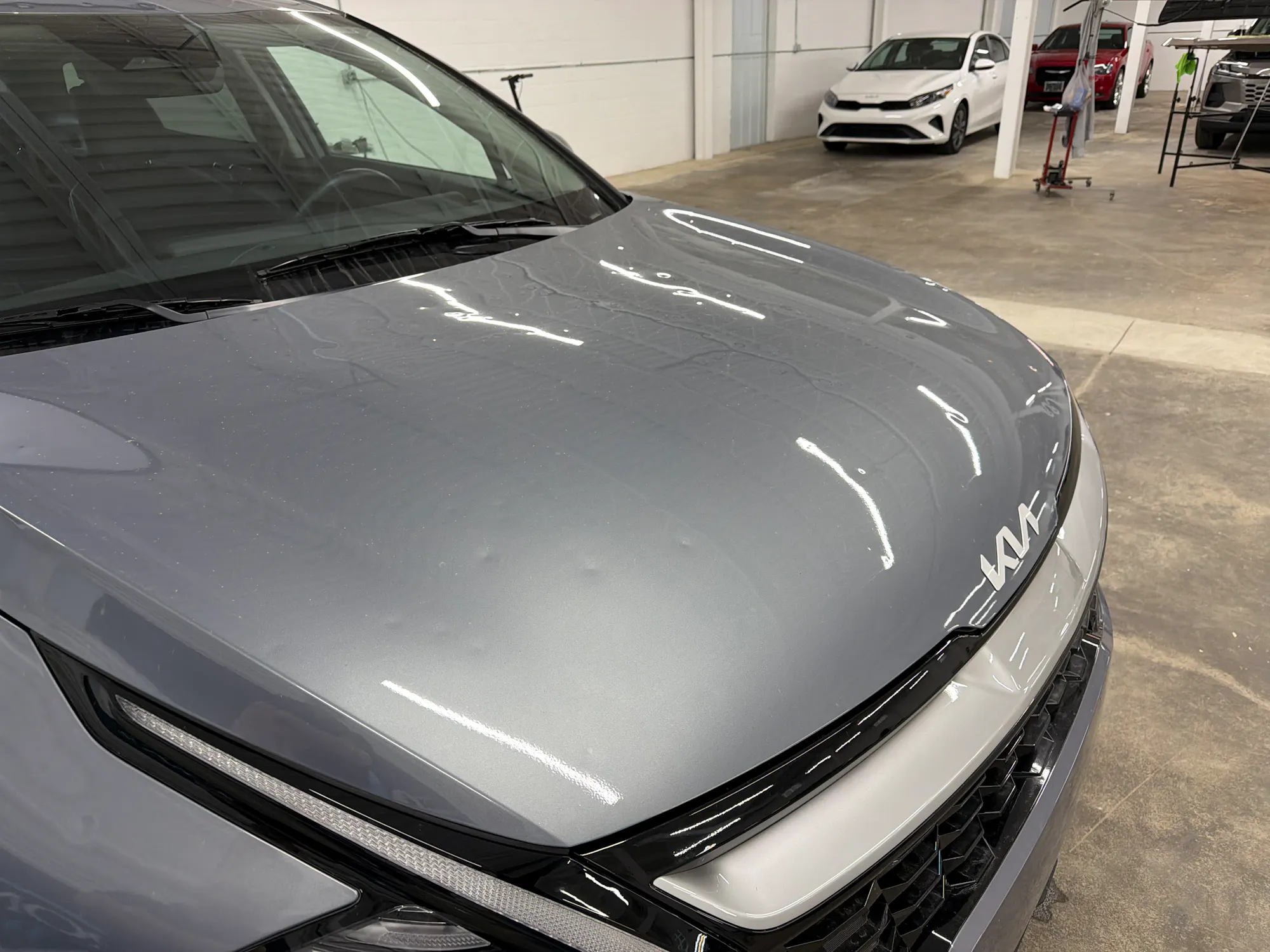 Kia hood during hail dent repair