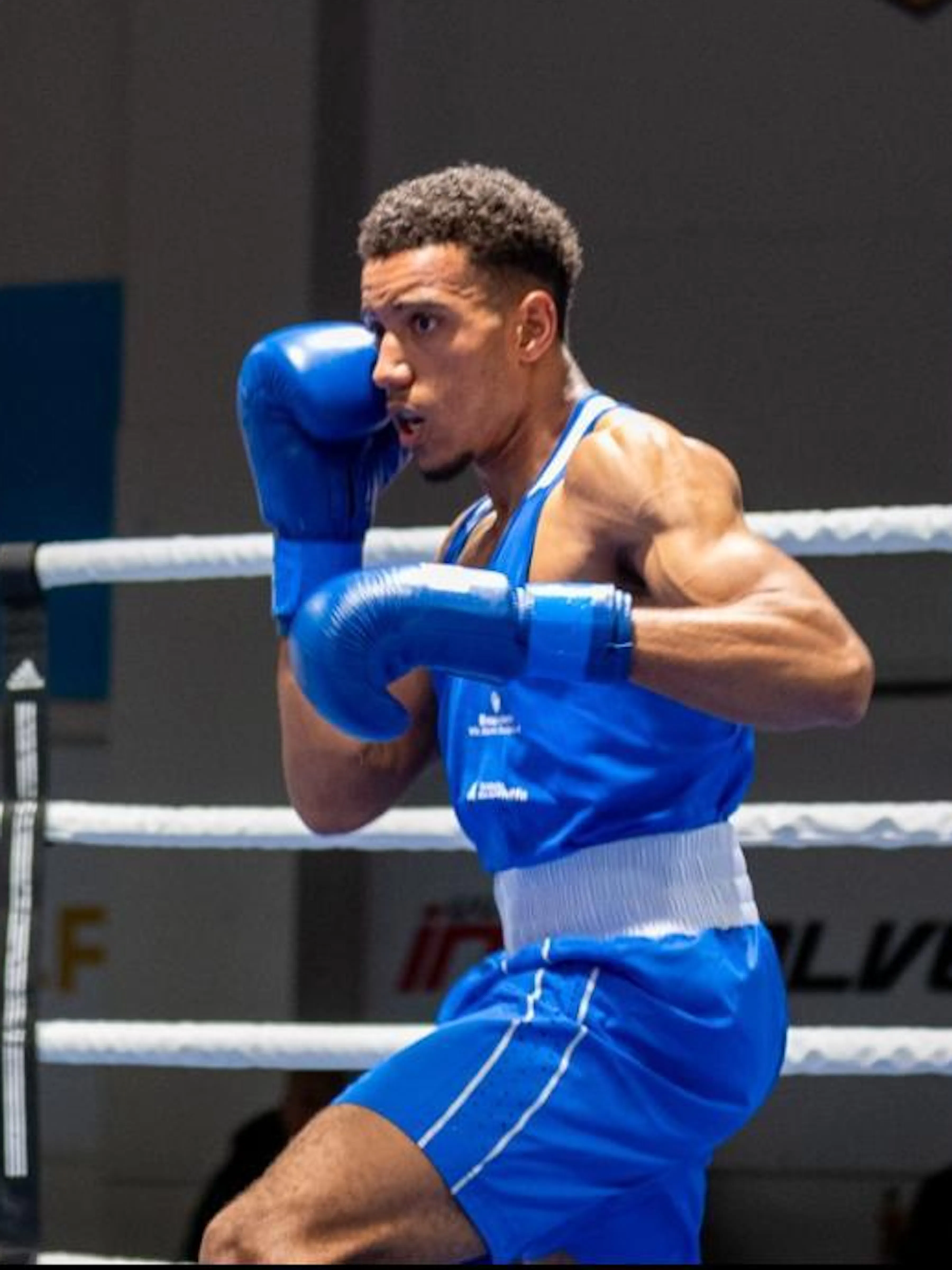 Boxer im Ring