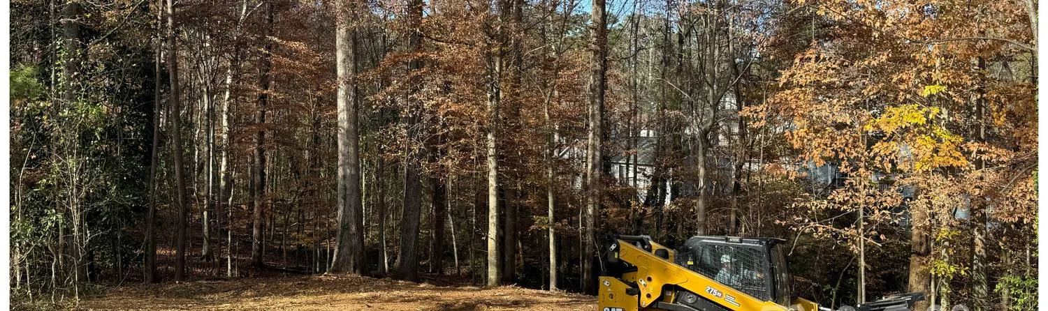 Open, walkable forest floor after forestry mulching