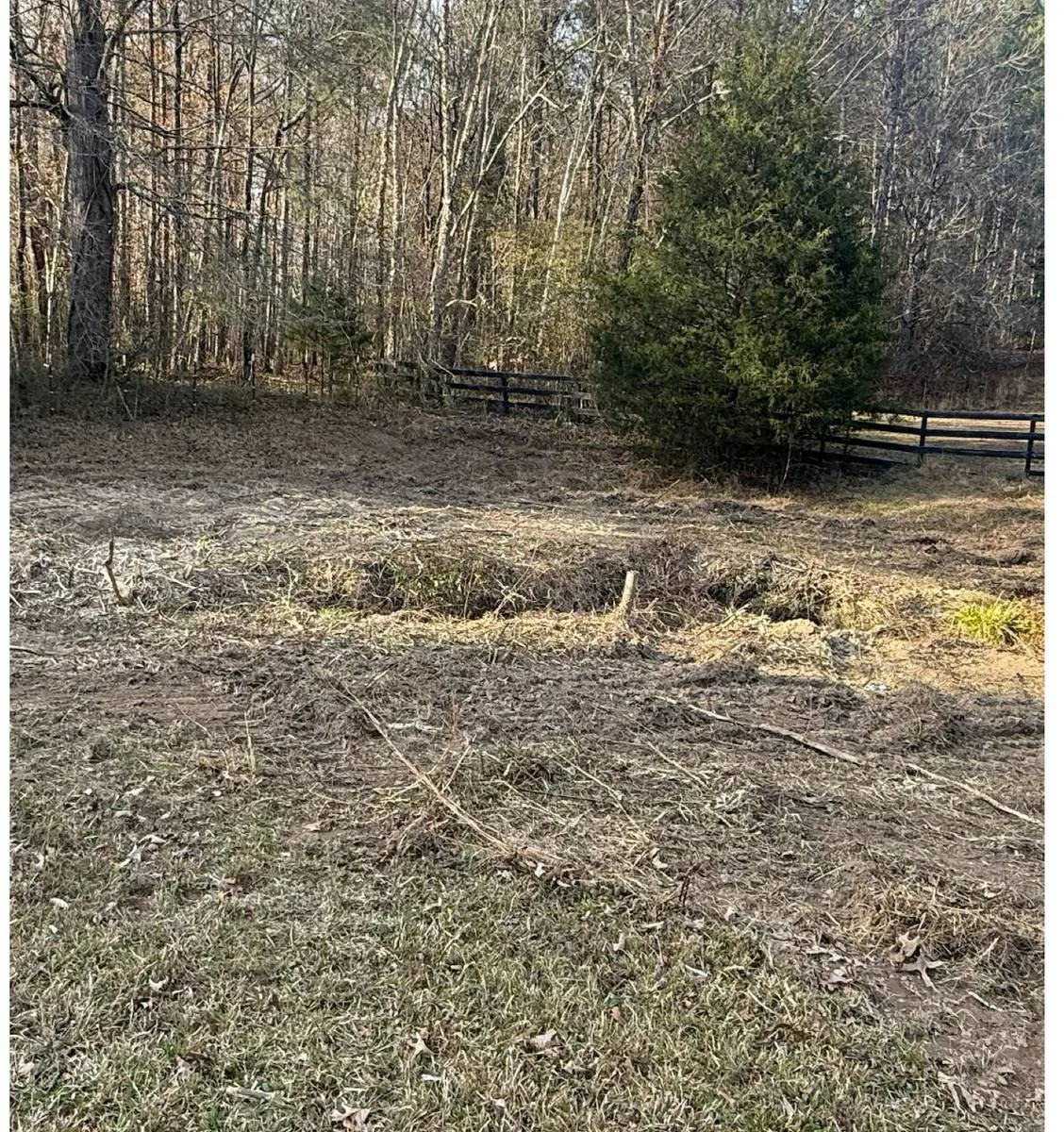 Open cleared grassland after land clearing