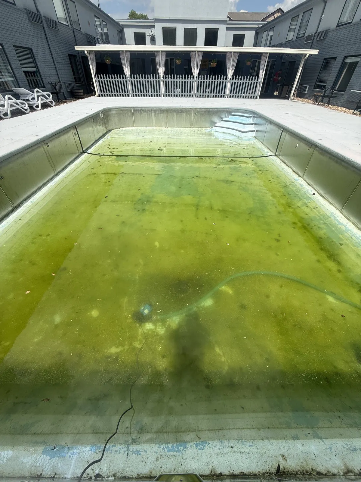 pool with green algae and stained plaster