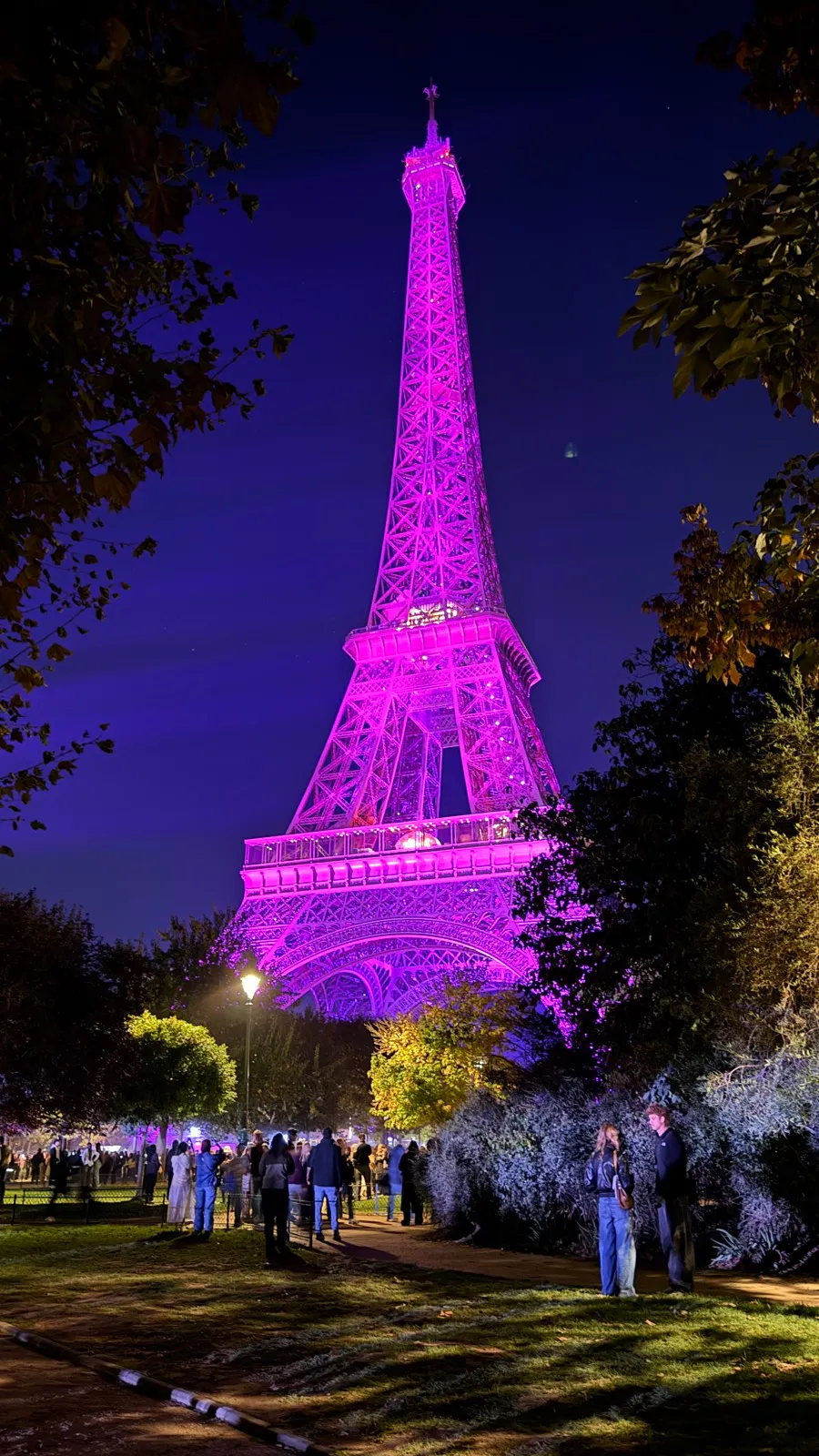 Eiffel Tower lit in purple light at night with people gathered in the park area below, surrounded by trees and bushes.