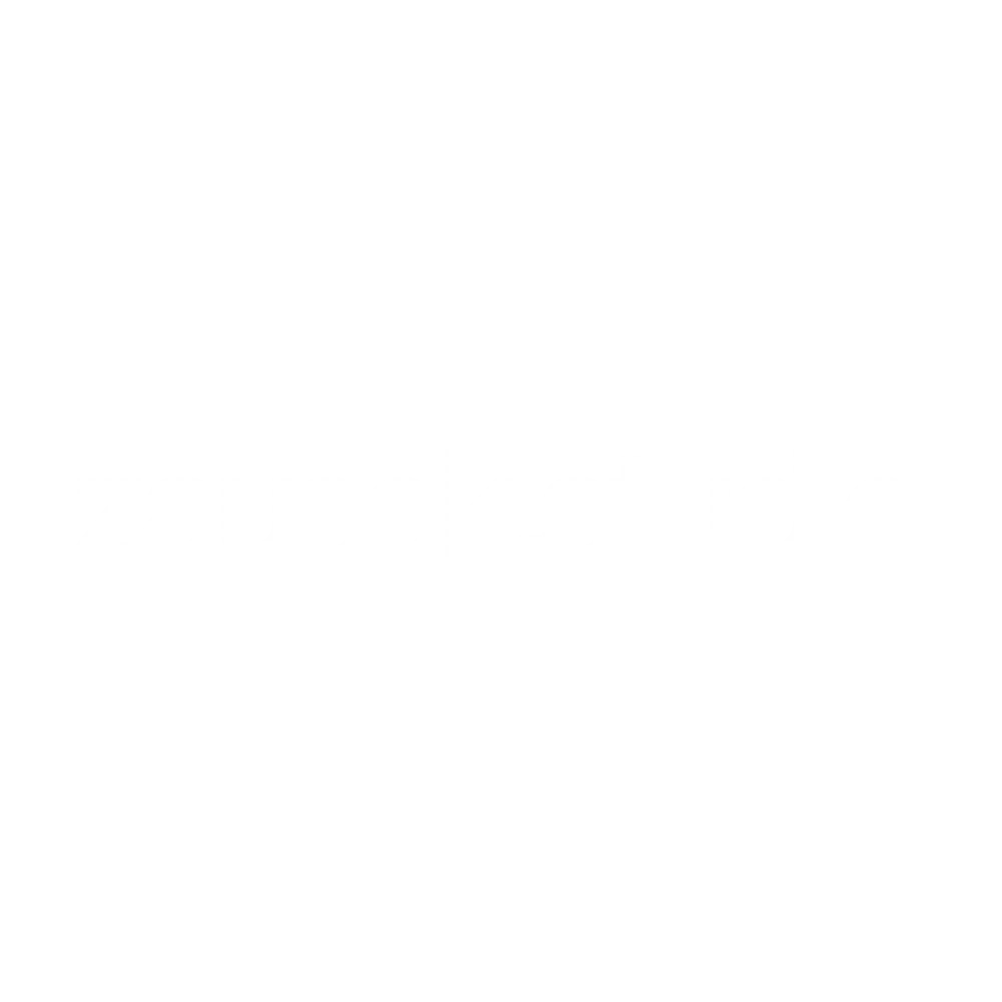 Zausek Studio Logo
