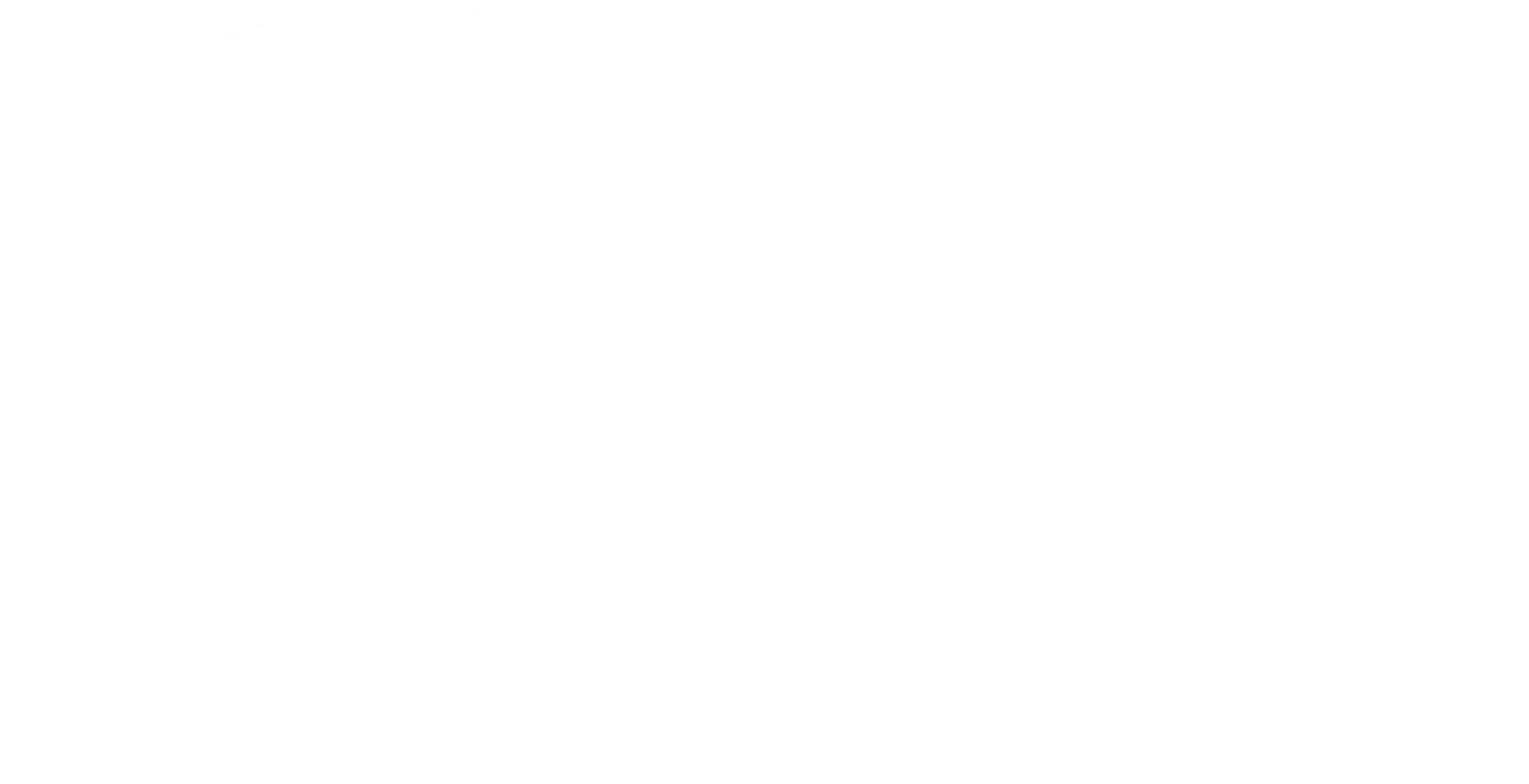 NEXUS Renewables logo with stylized letters and a partial circle surrounding the first letter N.