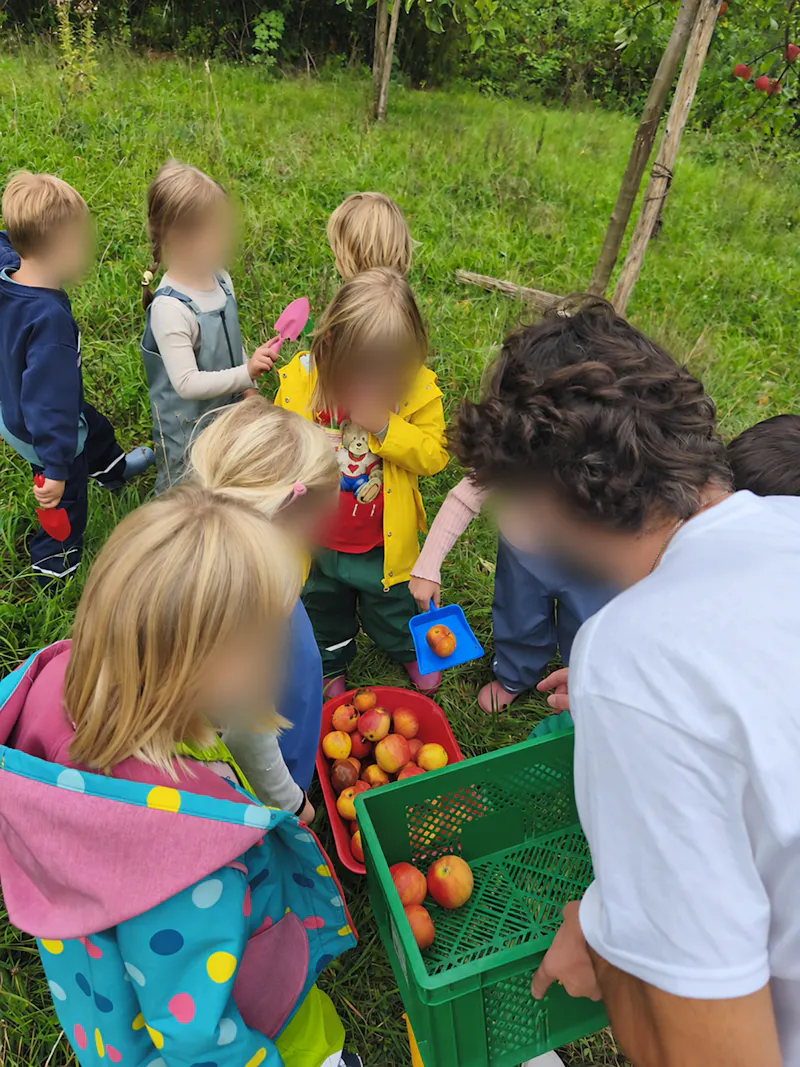 Kinder sammeln Äpfel in Körbe