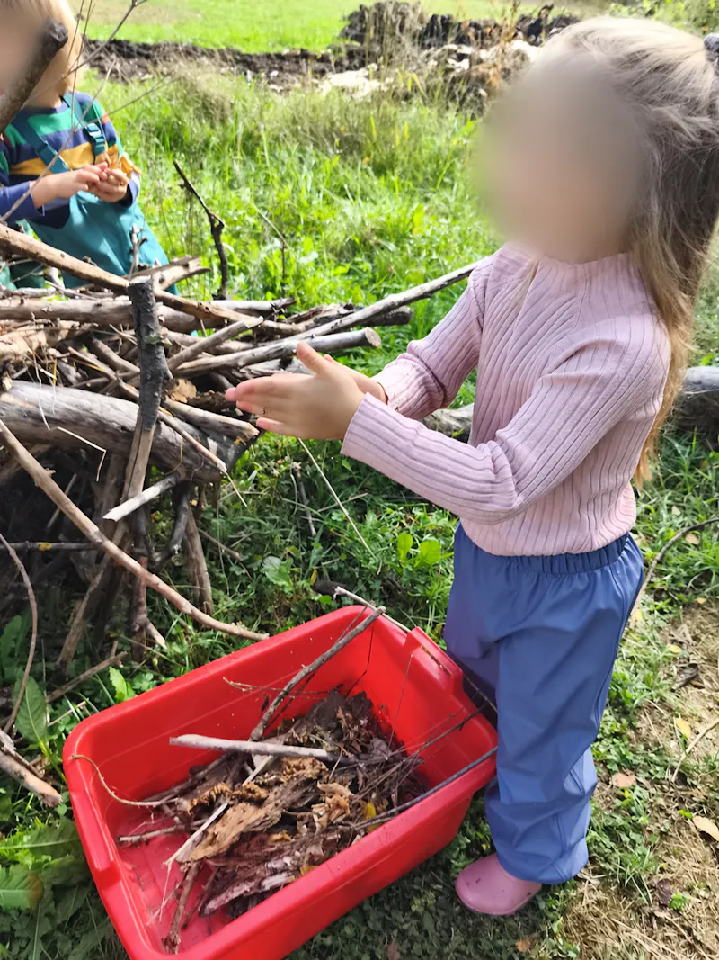 Kinder sammeln Holz und Zweige in der Natur