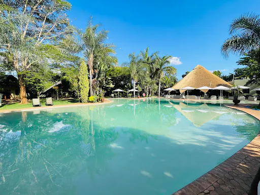 Outdoor swimming pool surrounded by palm trees, lounge chairs, and thatched-roof umbrellas under a clear blue sky.