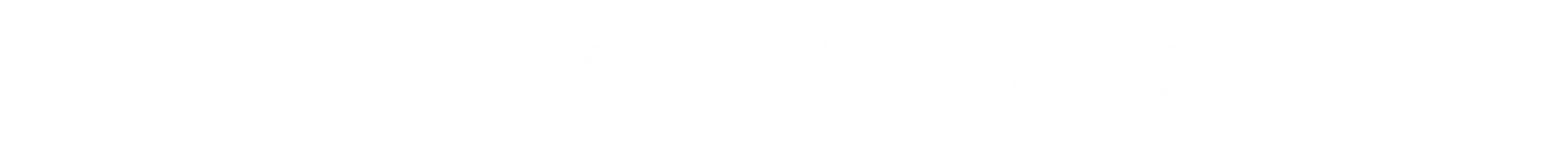 Envision Motors Fleet logo