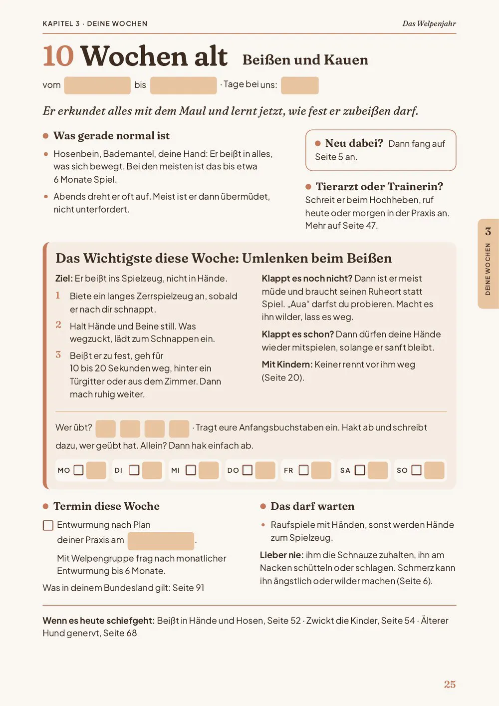 Wochenseite 10 Wochen alt, leer