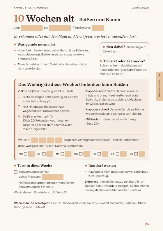 Wochenseite 10 Wochen alt, leer
