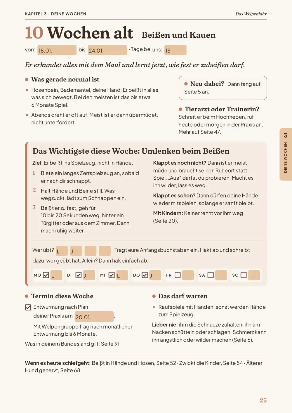 Wochenseite 10 Wochen alt, ausgefüllt