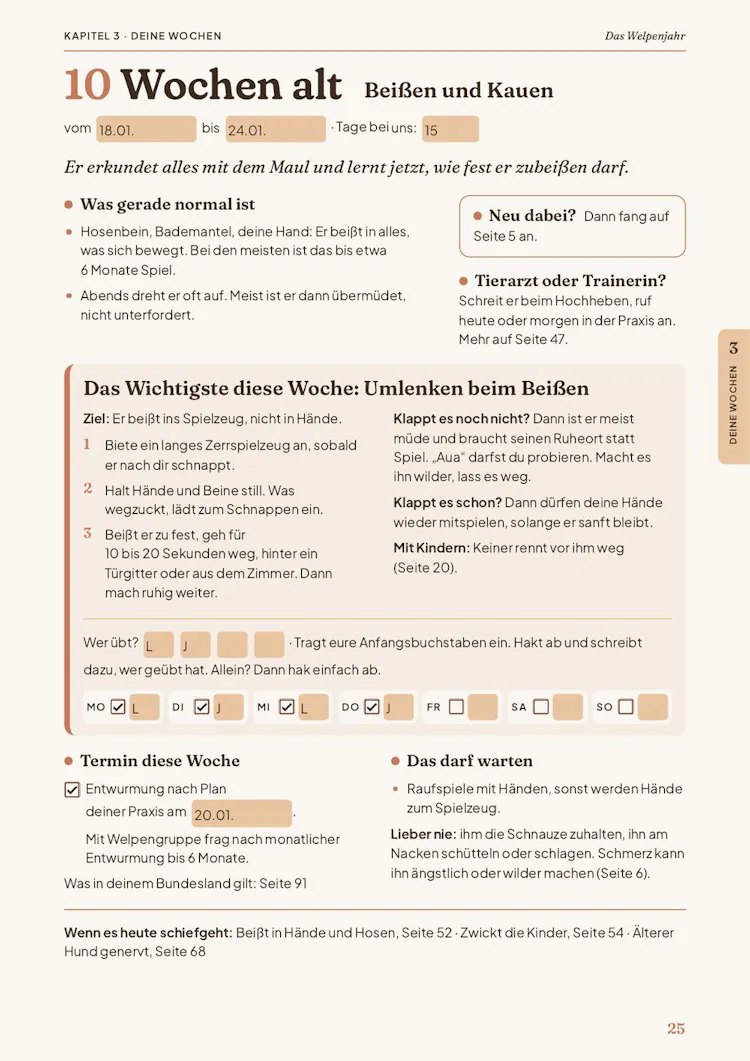 Wochenseite 10 Wochen alt, ausgefüllt