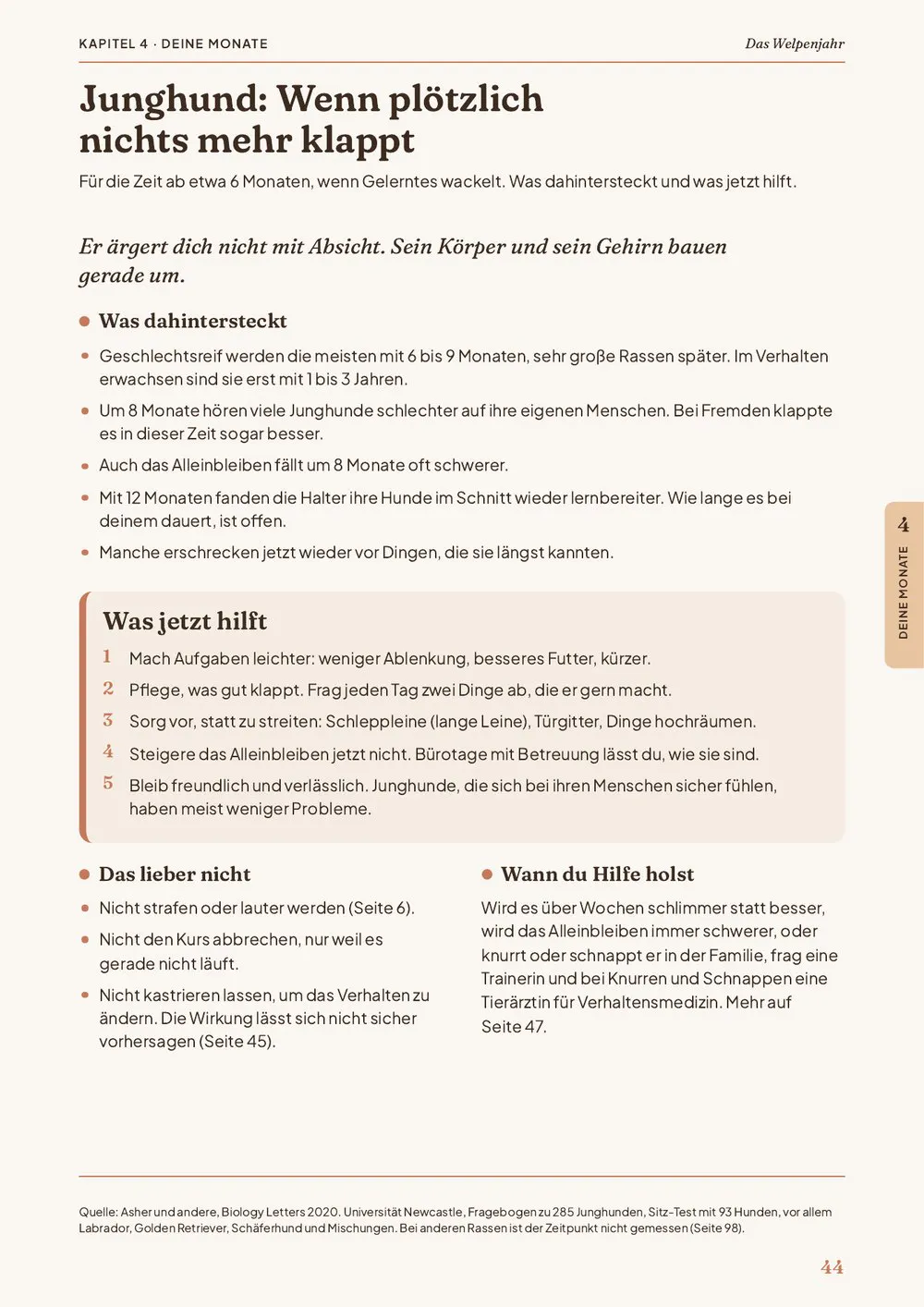 Seite Junghund: Wenn plötzlich nichts mehr klappt