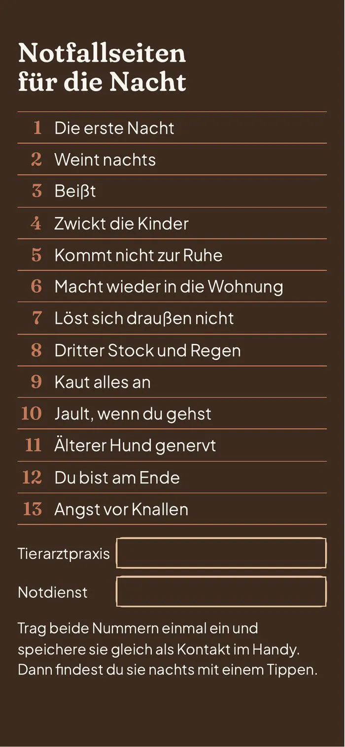 Nachtansicht: Übersicht der Notfallseiten