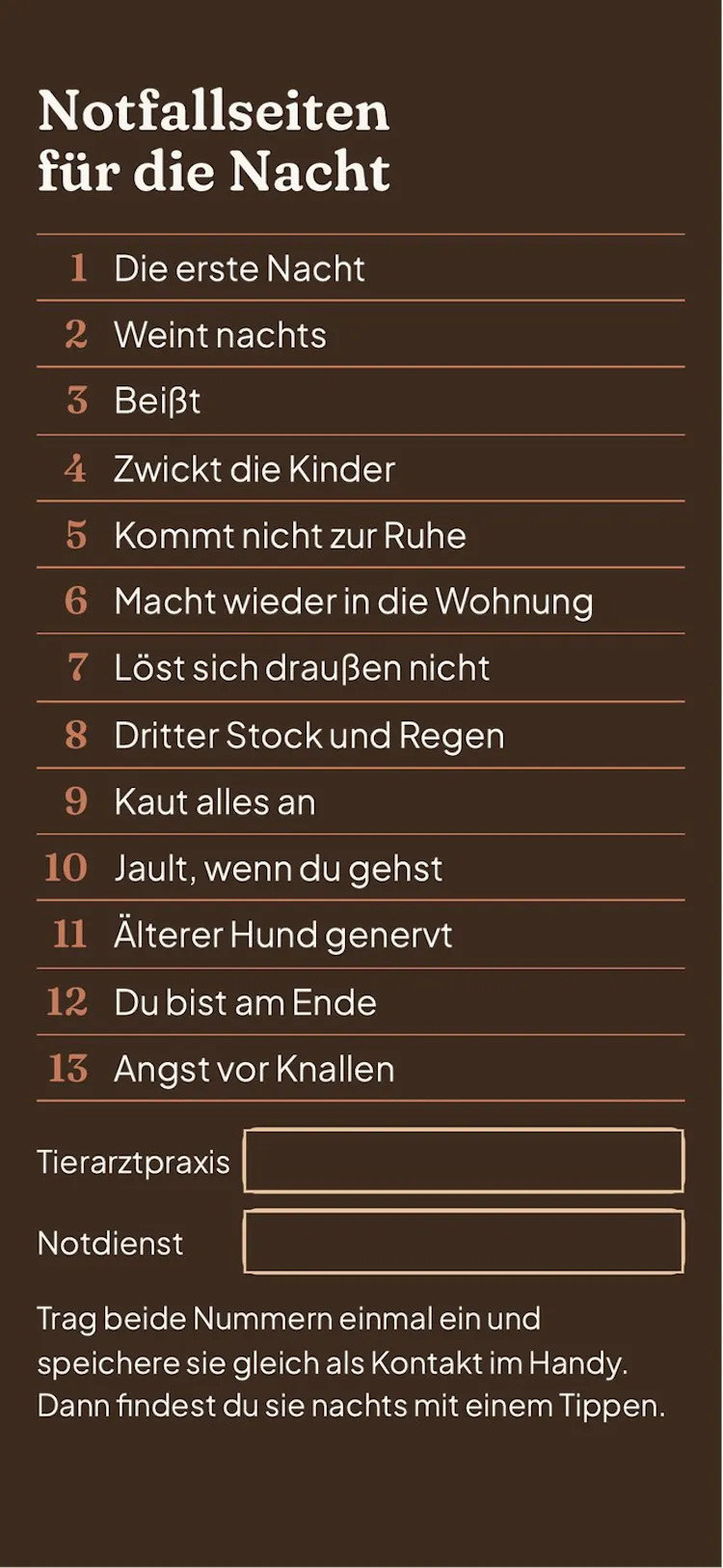 Nachtansicht: Übersicht der Notfallseiten